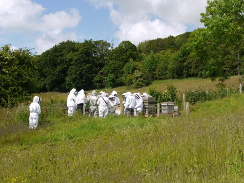 View of people crowded in the teaching apiary